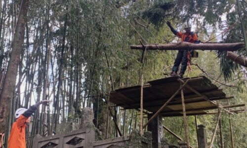 原口邸　玉名市井倉_200228_0018